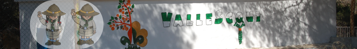 ValleScout ValleScout